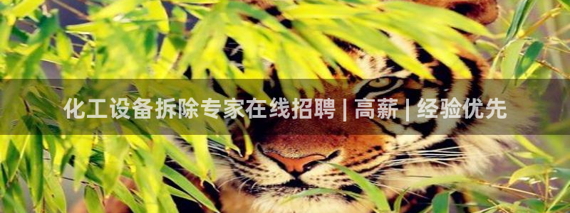 天辰平台孩7O777