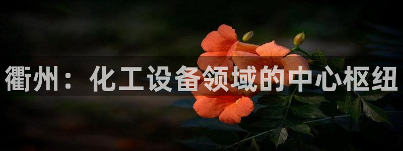 天辰平台测速登录失败