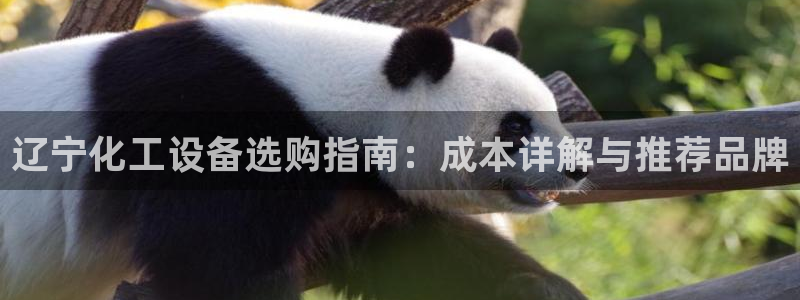 天辰平台注册登录地址