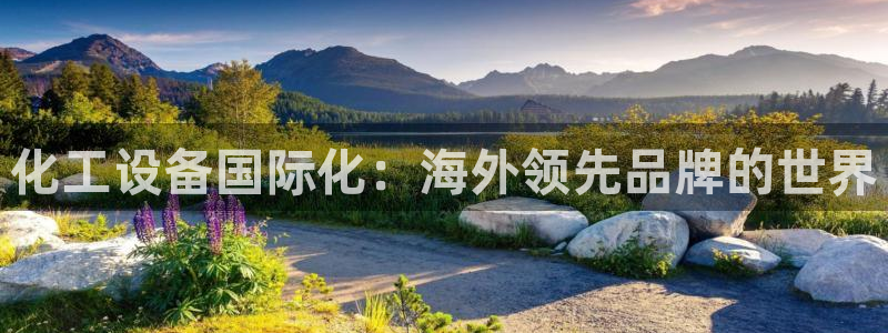 天辰平台测速登录