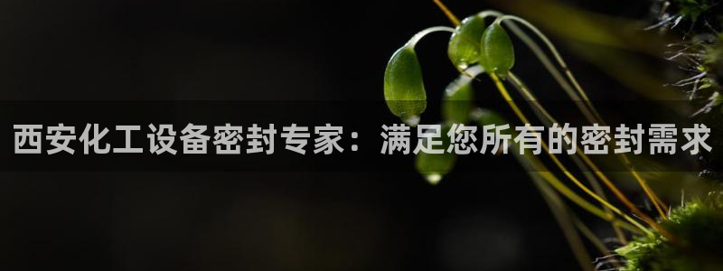 天辰平台告7O777