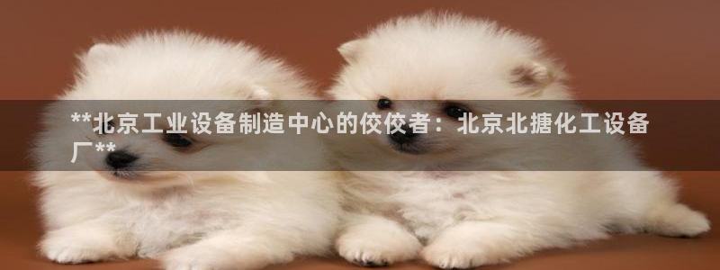 天辰平台用户登录入口在哪