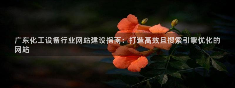 天辰平台注册你的专属平台入口