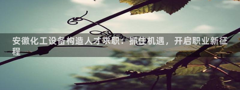 天辰平台招商1111是什么意思