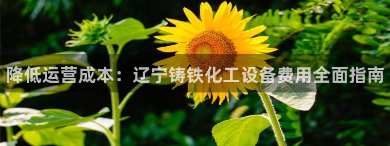 天辰注册141一 581：降低运营成本：辽宁铸铁化工设备费用