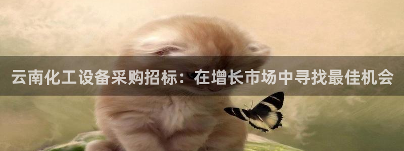 天辰平台注册地址在哪里找：云南化工设备采购招标：在