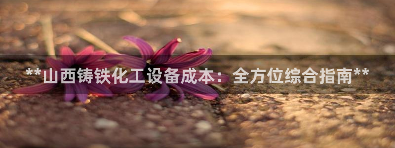 天辰平台用户注册流程：**山西铸铁化工设备成本：全