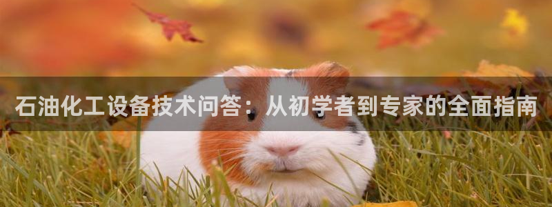 天辰平台 注册你的专属平台入口是什么：石油化工设备技术问答：