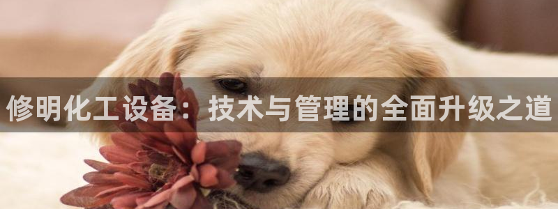 天辰娱乐代理注册平台登录系统错误：修明化工设备：技术与管理的