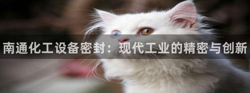 天辰会员是干什么的啊：南通化工设备密封：现代工业的