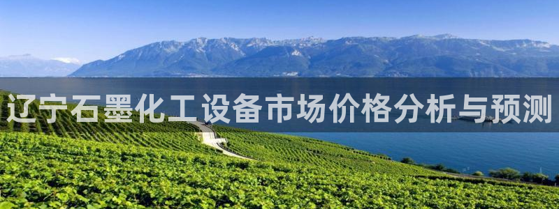 天辰网站：辽宁石墨化工设备市场价格分析与预测