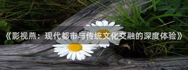 五杀影院在线免费观看：《影视燕：现代都市与传统文化交融的深度体验》
