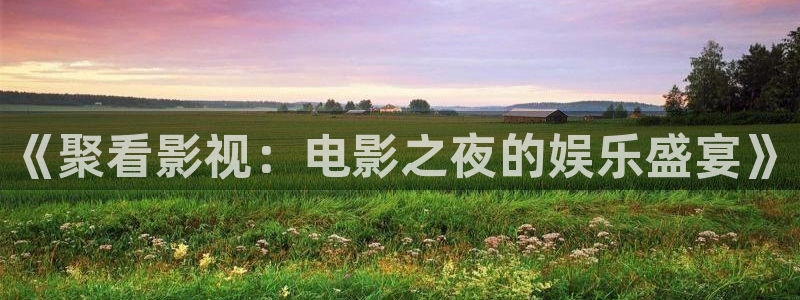 五杀影院在线电影：《聚看影视：电影之夜的娱乐盛宴》