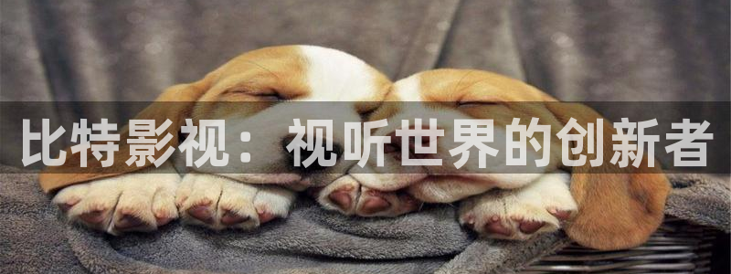 五杀影院免费高清：比特影视：视听世界的创新者
