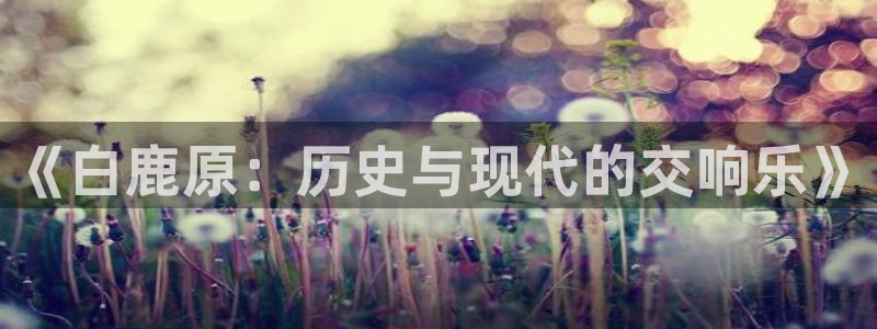五杀影院高清在线观看：《白鹿原：历史与现代的交响乐》