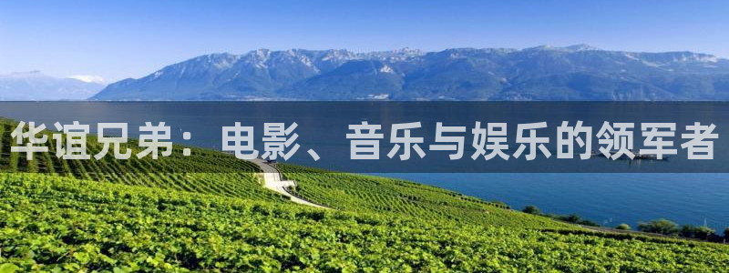 五杀影院最新免费观看：华谊兄弟：电影、音乐与娱乐的领军者