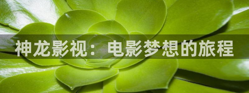 五杀影院观看免费观看：神龙影视：电影梦想的旅程