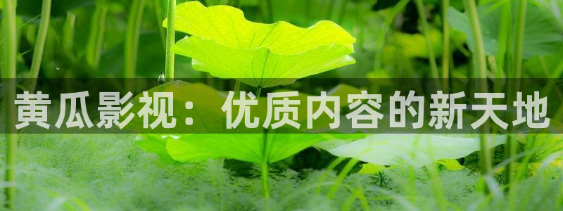 五杀影院伦理：黄瓜影视：优质内容的新天地