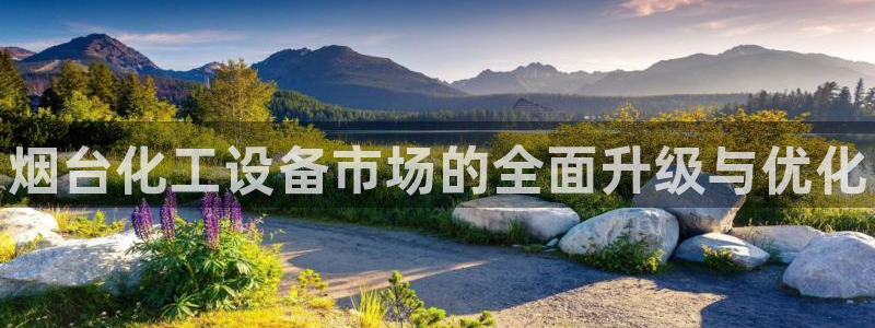 天辰平台登录地址在哪里