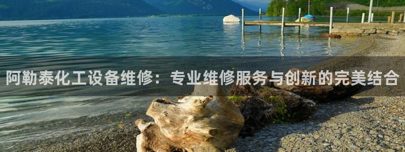 天辰娱乐平台用户评价与反馈